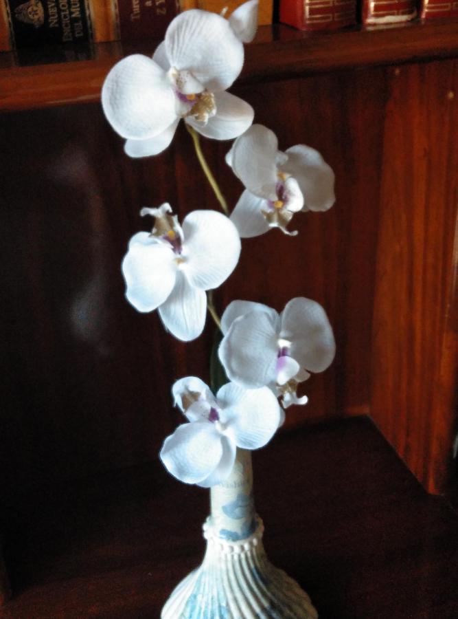 사라고사 Luminoso Piso 아파트 외부 사진